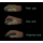 Mouse grip - palm, claw, fingertip
