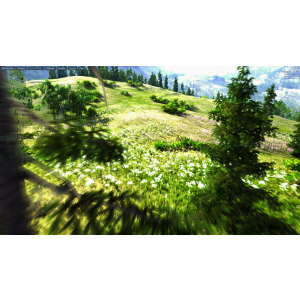 default