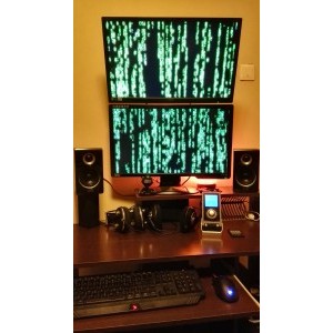 monitoare