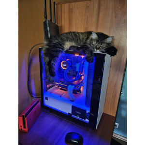 Memorie Corsair Vengeance LPX Black 16GB DDR4 3000MHz CL15 Dual