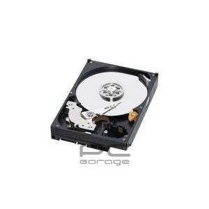 WD 500 GB SATA-II 7200 RPM 16MB Caviar RE2