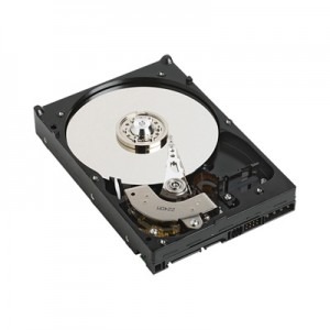 WD 320 GB SATA-II 7200RPM 16MB RE