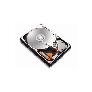 Maxtor 300 GB SATA 7200 rpm 16 MB DiamondMax Plus 10 NCQ