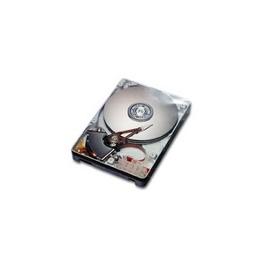 WD 80 GB ATA 100 7200 rpm 8 MB Caviar Special Edition