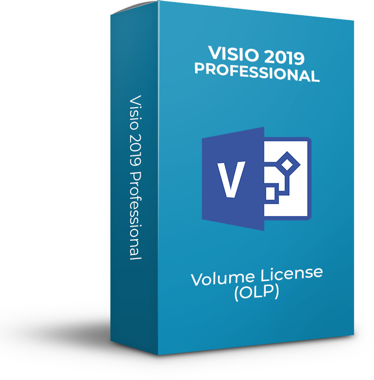 Aplicatie Microsoft Visio Professional 2019, Engleza, OLP NL