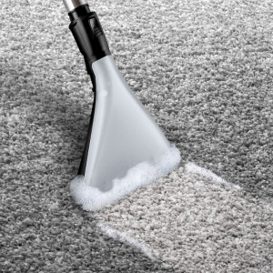 Bosch BWD41720, cu spalare, 1700W, 2.5L, Alb-Turcoaz