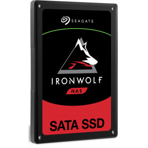 Seagate IronWolf 110 960GB SATA-III 2.5 inch