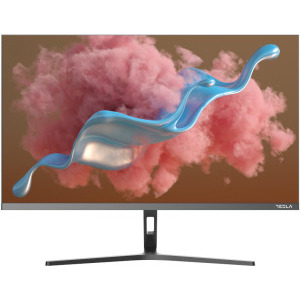 Monitor LED Tesla 24MC645GF 23.8 inch FHD IPS 6 ms 100 Hz USB-C