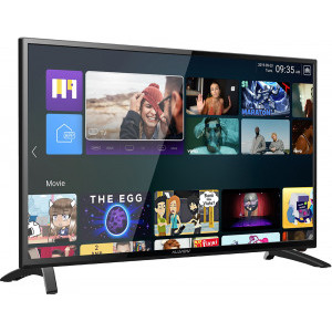Allview Smart TV 25ATS5000-F Seria ATS5000-F 62cm negru Full HD