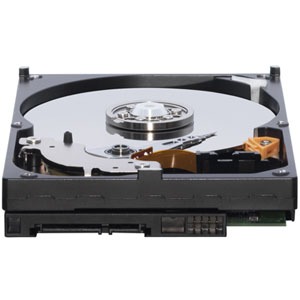 WD 250 GB SATA-II 7200 RPM 8 MB Caviar SE
