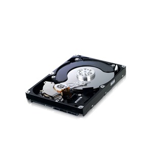Samsung 80GB SATA-II 7200 rpm 8MB SpinPoint F1