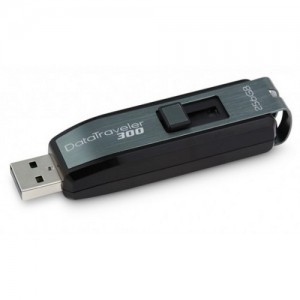 Kingston DataTraveler 300 256GB