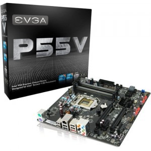 EVGA P55V