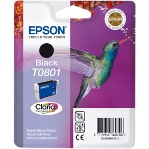 Epson Cartus T0801 Black