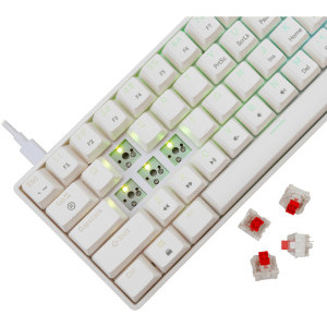 White Shark SHINOBI v2 Outemu Red Switch Mecanica White