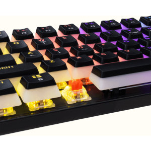White Shark ASHIKO v2 Red Switch Mecanica Black