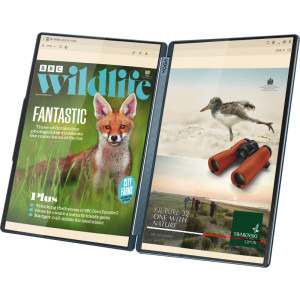 Lenovo 14'' Yoga Book 9 14IAH10, 2.8K OLED 120Hz Touch, Procesor Intel® Core™ Ultra 7 255H (24M Cache, up to 5.10 GHz), 32GB LPDDR5X, 1TB SSD, Intel Arc 140T, Win 11 Home, Tidal Teal, 3Yr Onsite Premium Care