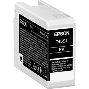 Epson Cartus T46S1 Photo Black