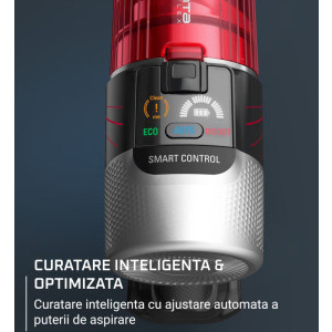Rowenta X-Force Flex 9.60 Allergy RH2099WO, vertical, 250W, 0.44L, Negru/Rosu