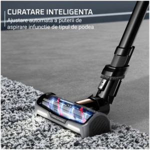 Rowenta X-Force Flex 15.60 RH99G3WO, vertical cu mop, 380W, 0.65L, Negru