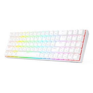 Redragon Zed Pro White RGB Mecanica Brown Switch