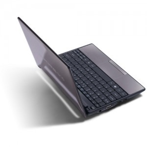 Acer Aspire One D255E-13CCC Atom N450 1.66GHz Brown
