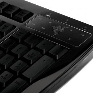 Razer Arctosa Black