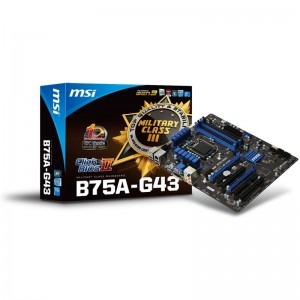MSI B75A-G43