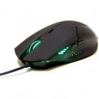 B-Move Black Shark