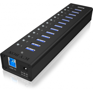 Raidsonic IB-AC6113
