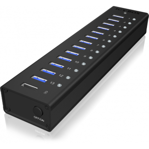Raidsonic IB-AC6113