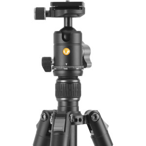 Vanguard Vesta Go 234AB