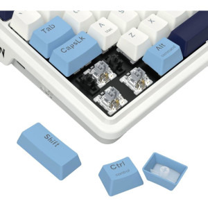 Redragon Antonium Pro TKL RGB Alb-Albastru Switch-uri liniare Redragon Gri Mecanica