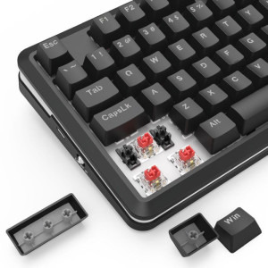 Redragon Stormrazor Pro Mini Neagra RGB Switch-uri Redragon Red Mecanica