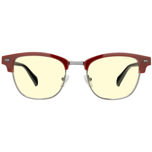 Gunnar Diablo IV Sanctuary Edition