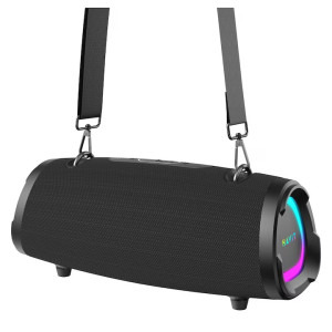 Havit Boxa Portabila SK903BT Black