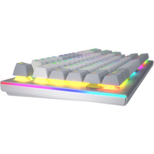 HATOR Gravity TKL RGB White Aurum Orange Linear Rev. 2.0 Switch Mecanica