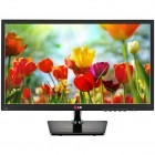 LG 20EN33SS-B 19.5 inch 5ms GTG black