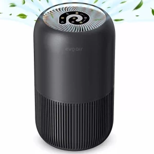 Evoair Purificator de aer YuvoSpin, Negru