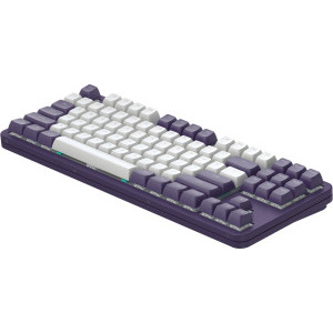 Dark Project Violet TKL G3MS Sapphire Switch Mecanica