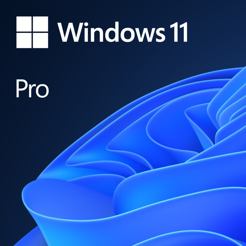 Sistem de operare Microsoft Windows 11 Pro, OEM DSP OEI, 64-bit, Engleza, DVD
