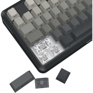 Redragon Wildslash Pro TKL RGB Black-Grey RPC Switch Mecanica