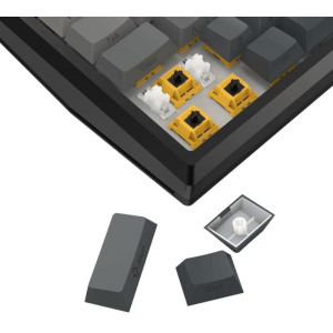 Redragon Penumbra Pro RGB TKL Black Lion L Switch Mecanica