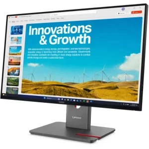 Lenovo ThinkVision P24QD-40 23.8 inch QHD IPS 4 ms 120 Hz USB-C HDR