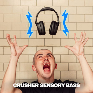 SkullCandy Over-Ear, Crusher 720 BT Black