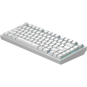 Dark Project ALU81A Terra Nova R2 RGB White g3ms Moonstone Pre-lubed Switch Mecanica