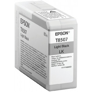 Epson Cartus T850700 Light Black