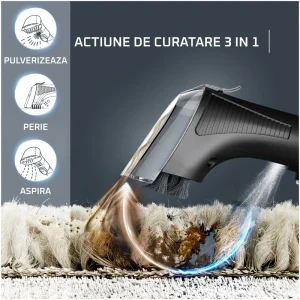 Rowenta Clean It Hot & Cold IN7011F0, cu spalare, 1150W, 1.5L, Portocaliu/Gri