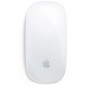 Apple Magic Mouse MB829ZM