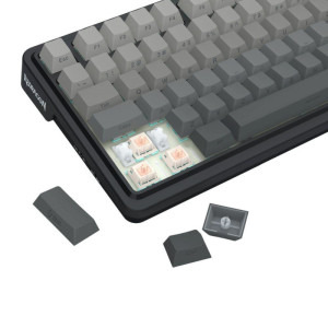 Redragon Eisa Pro Neagra RGB Switch-uri Leopard L  Mecanica